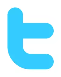 Twitter logo initial